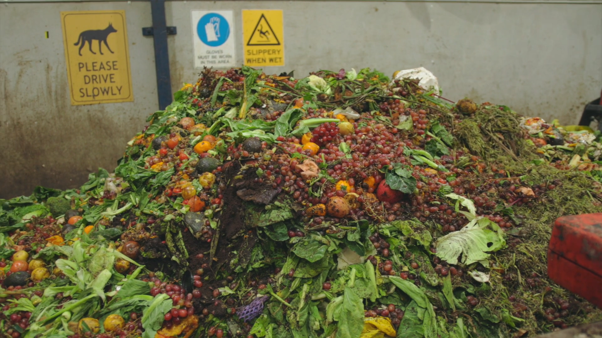 Pile of food waste at Bardee facility.